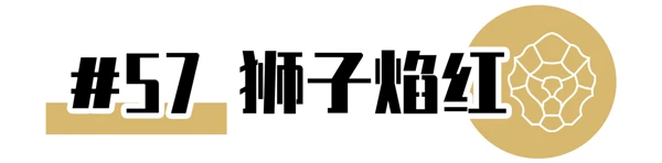 CHANEL2021年新品限定香奈儿狮子口红全系试色大全 口红 香奈儿 第30张
