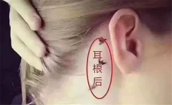 皮肤过敏的原因有哪些，哪些人容易皮肤过敏 过敏 皮肤 第2张