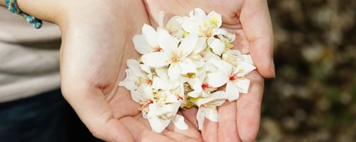 用醋洗脸可以美白吗 洗脸 美妆 第2张