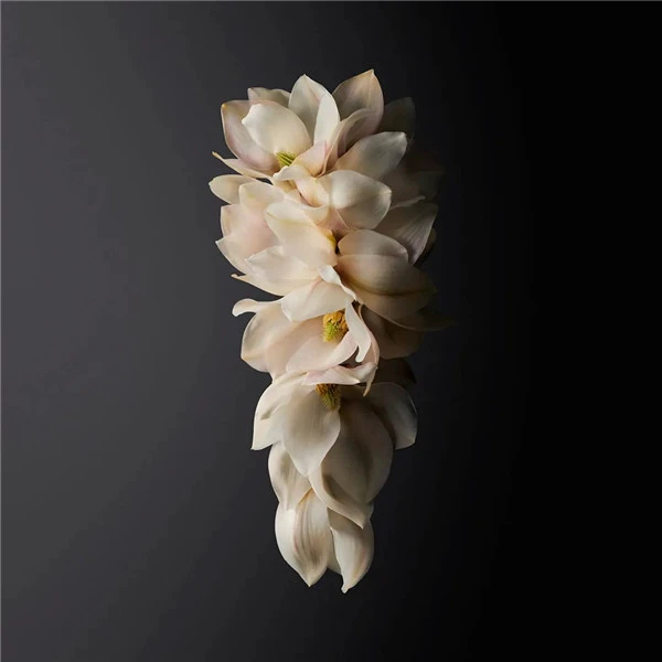 资生堂Shiseido的Ginza Eau de Parfum新香水 日本 香水 资生堂 第4张