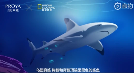 去溯源，「去发现」，海洋珀莱雅再升级， 珀莱雅 国货美妆品牌 美妆 第5张