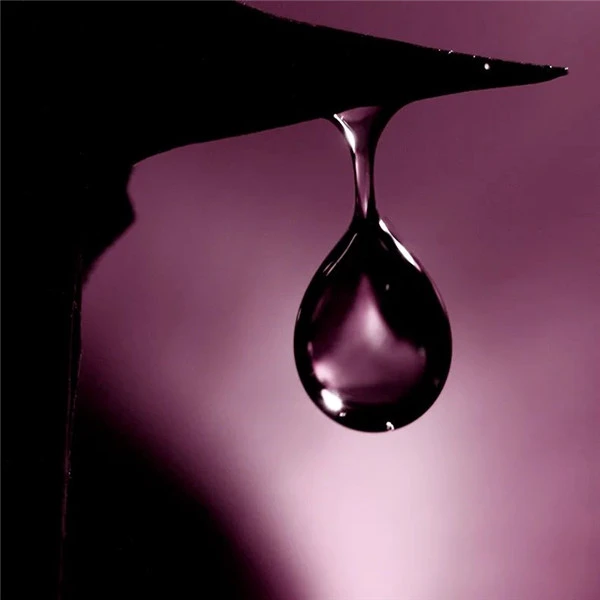 爆火的TF香水,有哪几款 香水 TF 第8张 爆火的TF香水,有哪几款 香水 TF 第8张