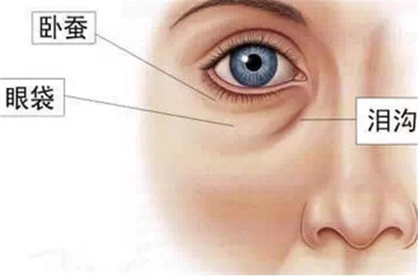 女性美容要补充维生素E，可改善眼部循环缓解眼袋 美容 维生素E 第2张