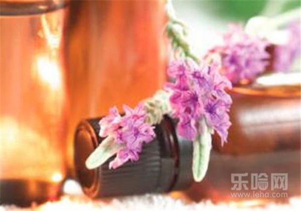 薰衣草精油怎么稀释 护肤 第1张