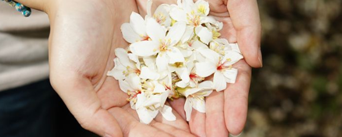 白醋加甘油能美白吗 美白 美妆 第1张