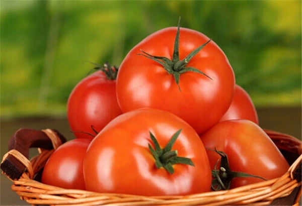 番茄的美容功效 护肤 第3张 番茄的美容功效 护肤 第3张