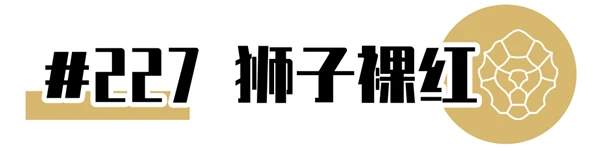 CHANEL2021年新品限定香奈儿狮子口红全系试色大全 口红 香奈儿 第26张