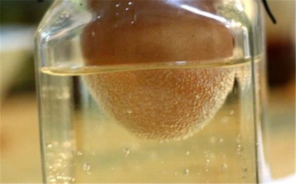 醋泡鸡蛋祛斑注意哪些事项，醋泡鸡蛋祛斑有什么作用 醋泡 鸡蛋 第1张