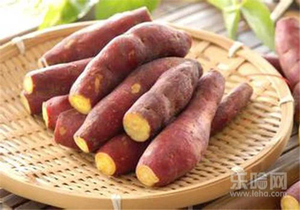 美白祛斑吃什么最好 护肤 第4张