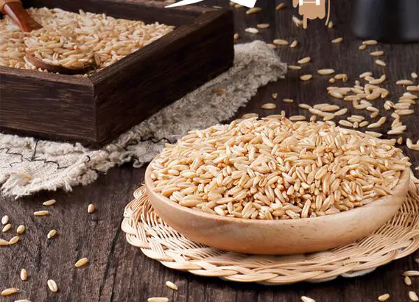 头发油腻吃什么好呢 头发 头发油腻吃什么 美容 第4张