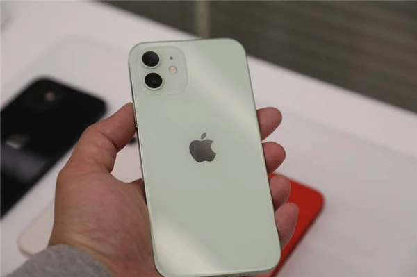 iPhone12薄荷绿小清新味道十足,薄荷绿配什么颜色好看 薄荷绿 iPhone12 第12张 iPhone12薄荷绿小清新味道十足,薄荷绿配什么颜色好看 薄荷绿 iPhone12 第12张