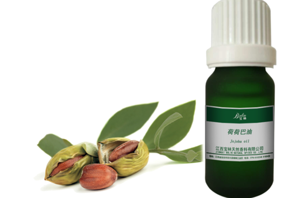 荷荷巴油去黑头如此神奇 荷荷 第1张