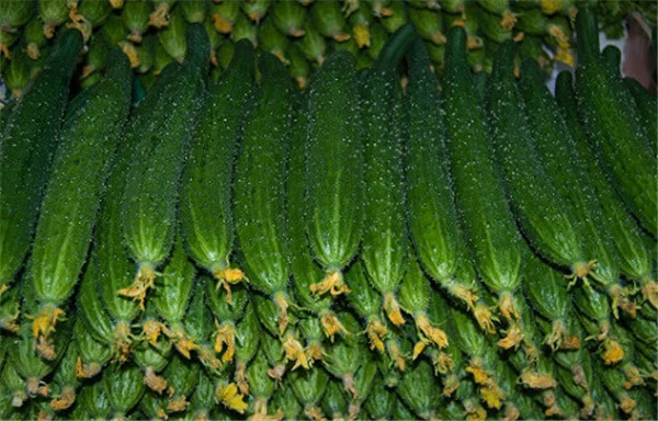 去皱纹的最好方法 护肤 第8张