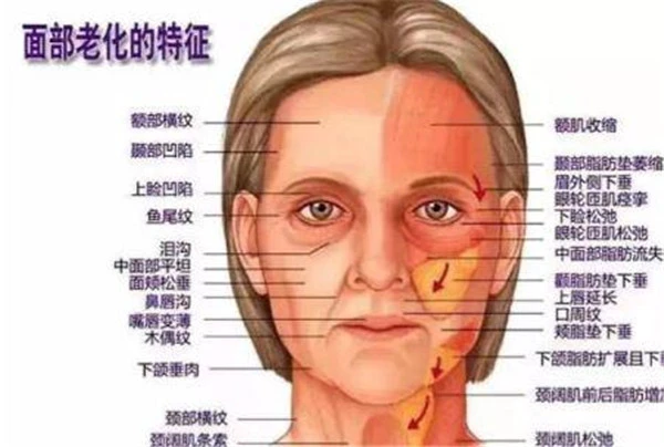 皮肤抗衰老要注意生活作息，补水要到位保持良好心情 皮肤 抗衰老 第3张