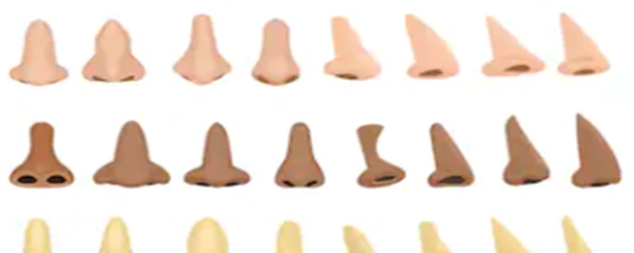 如何使鼻梁增高 使鼻梁增高 美妆 第3张