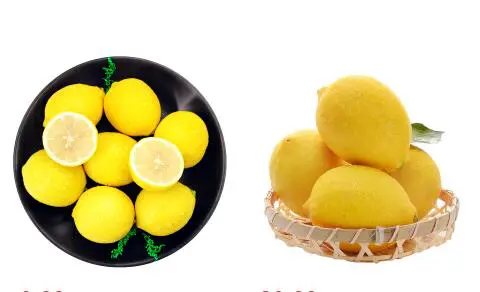 面部长斑该怎么调理，六种食物帮你解决 面部长斑 面部长斑该怎么办 美容 第2张