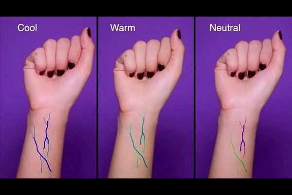 不同的皮肤底色如何知道适合什么颜色的衣服 颜色 第2张