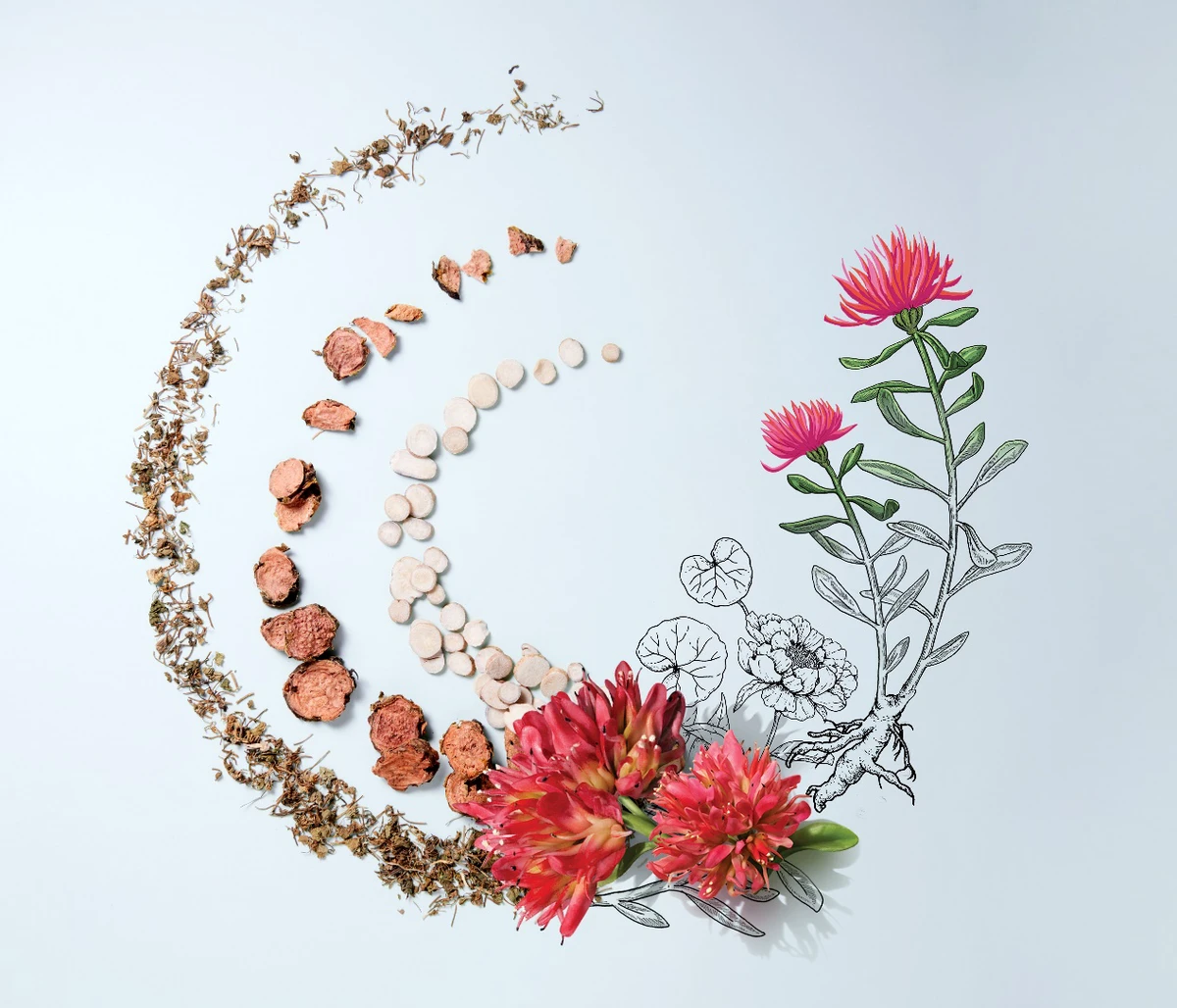 点亮年轻，追光前行，相宜本草红景天小红瓶帮你获得健康之美 相宜本草 红景天小红瓶 美妆 第3张