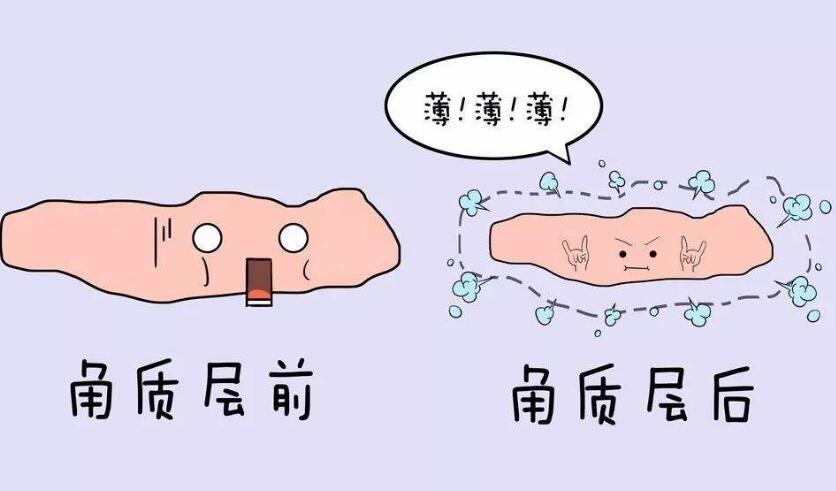 角质层太薄皮肤会很差吗，角质层薄的危害和护肤方法 角质层 角质层太薄 角质层太薄怎么办 美容 第1张