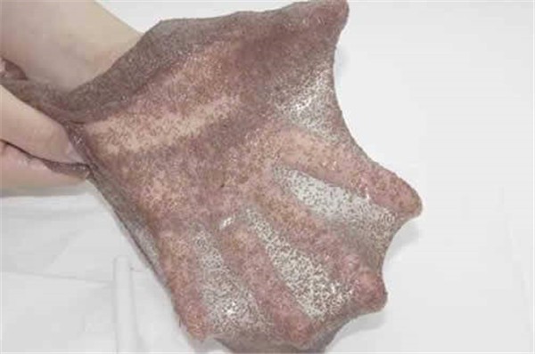 海藻面膜适合什么皮肤 护肤 第1张