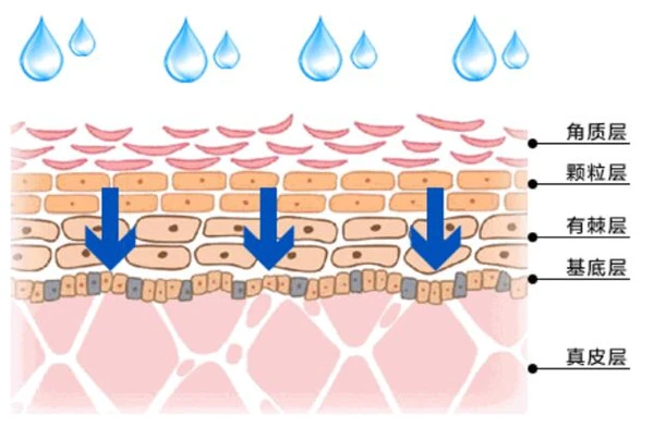 想要恢复原始美肌，靠伊肤泉微针就够了，深层补充肌肤营养 美肌 伊肤泉微针 第2张