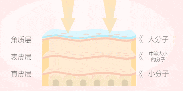 澳芝曼绵羊油身体乳滋养嫩肤，保湿功效颇受好评 澳芝曼 身体乳 第21张