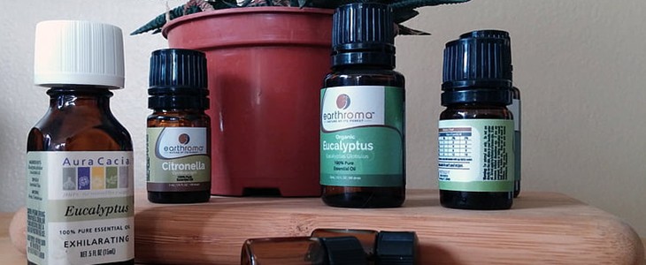 复方精油的正确使用方法 复方精油 正确使用方法 美妆 第1张 复方精油的正确使用方法 复方精油 正确使用方法 美妆 第1张