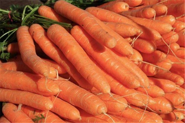 哪些食物有美白的效果，黄瓜美容养颜效果显著 美白 黄瓜 第5张