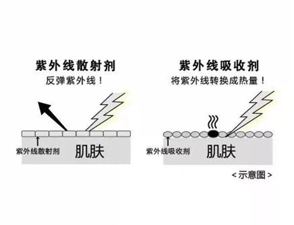 安耐晒2021新品曝光 安耐晒 防晒 防晒霜 第24张