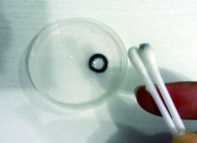 美瞳泡在卸妆水里还能用吗，美瞳不小心掉卸妆水里 美瞳 卸妆水 美瞳泡在卸妆水里怎么办 美妆 第1张