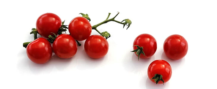 吃小番茄可以减肥吗 小番茄 减肥 美妆 第2张