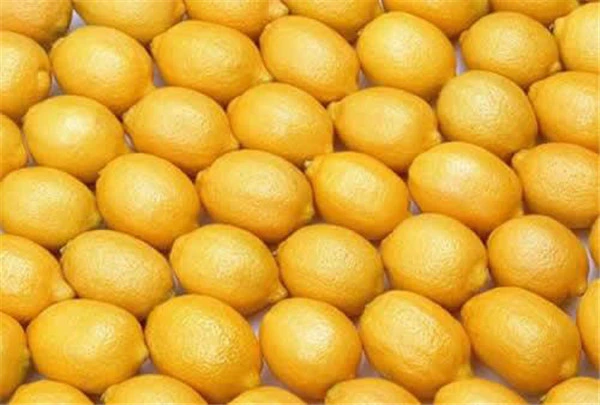 柠檬面膜的功效与作用 护肤 第4张 柠檬面膜的功效与作用 护肤 第4张