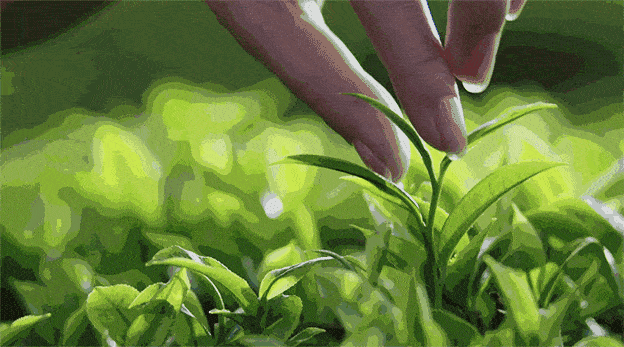 伊丽莎白雅顿身体乳补充肌肤水份打造润滑肌肤 身体乳 润滑 第25张