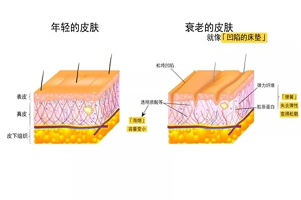 抗衰老要预防光老化，做好防晒选择抗氧化护肤品 抗衰老 护肤品 第2张