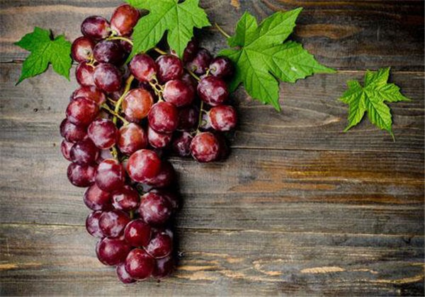 用什么敷脸对皮肤好，一定不要错过用这些来敷脸 护肤 第1张