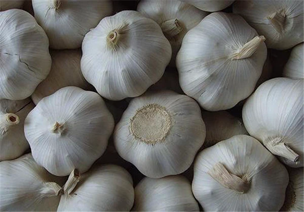 吃大蒜脸上会长痘痘吗,吃大蒜脸上长痘痘怎么办 护肤 第3张 吃大蒜脸上会长痘痘吗,吃大蒜脸上长痘痘怎么办 护肤 第3张