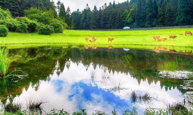 免洗面膜的原理及使用方法 免洗面膜 美容 第4张