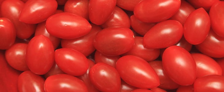 吃小番茄可以减肥吗 小番茄 减肥 美妆 第1张