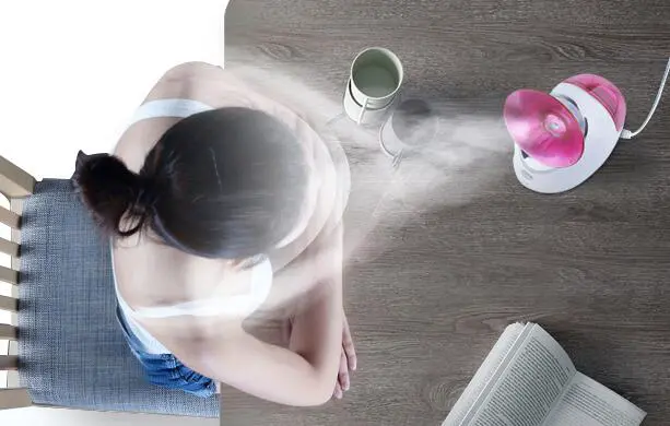 蒸脸器什么牌子好用,蒸脸器热喷和冷喷的区别 护肤 蒸脸器热喷 蒸脸器热喷和冷喷的区别 美容 第3张 蒸脸器什么牌子好用,蒸脸器热喷和冷喷的区别 护肤 蒸脸器热喷 蒸脸器热喷和冷喷的区别 美容 第3张