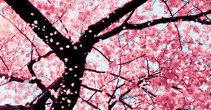 森田面膜竟然火遍了霓虹国,日本Model最爱用的神仙好物大公开 面膜 森田面膜 日本面膜品牌 护肤 第1张 森田面膜竟然火遍了霓虹国,日本Model最爱用的神仙好物大公开 面膜 森田面膜 日本面膜品牌 护肤 第1张