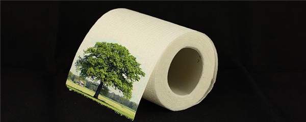 用纸代替卸妆棉可以吗，用纸代替卸妆棉好吗 护肤 第1张