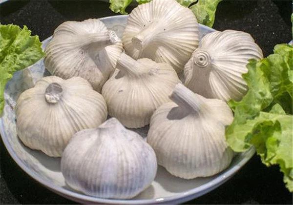 吃大蒜脸上会长痘痘吗,吃大蒜脸上长痘痘怎么办 护肤 第4张 吃大蒜脸上会长痘痘吗,吃大蒜脸上长痘痘怎么办 护肤 第4张