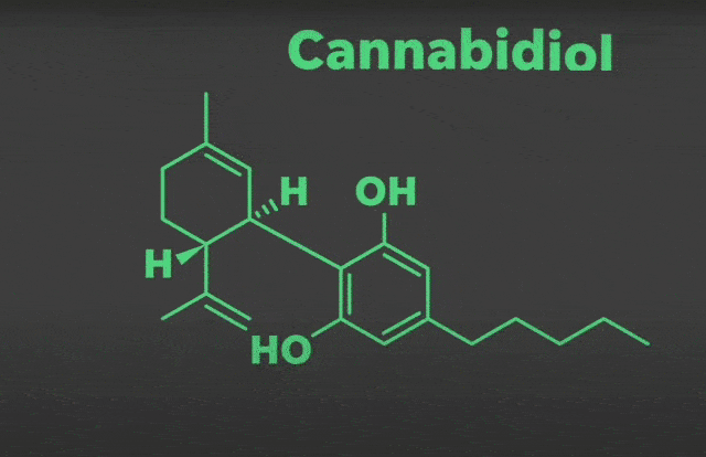 什么是大麻护肤，CBD解锁全新护肤方式 护肤 CBD 第5张