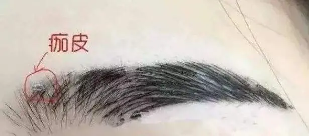 纹眉后的注意事项有哪些，纹眉后的六大重点 纹眉 纹眉后的注意事项 美容 第3张