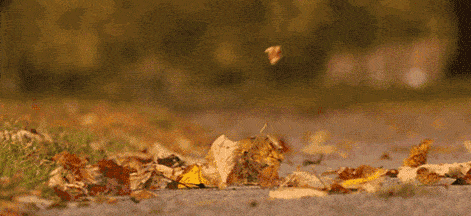 面霜的正确使用方法,希思黎丝绒柔肤霜打造哑光效果 面霜 希思黎 第1张 面霜的正确使用方法,希思黎丝绒柔肤霜打造哑光效果 面霜 希思黎 第1张