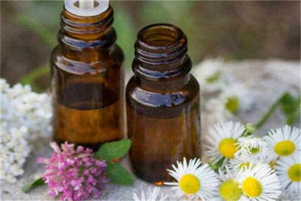 嫩生姜助消除疤痕，芦荟杀菌消炎适合新疤痕 生姜 疤痕 第3张