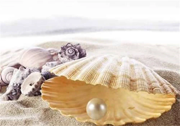 天天涂珍珠粉可以吗，关键看是用来美容还是治疗伤口 护肤 第5张