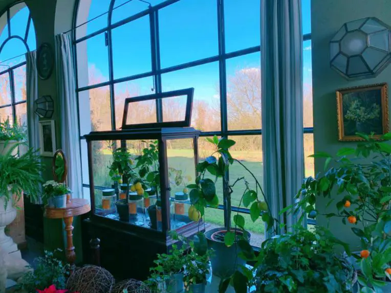 L'erbolario 柏拉莉欧青春面膜，焕活肌肤年轻力 面膜 erbolario 柏拉莉欧面膜 护肤 第3张