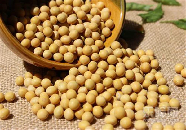 美白祛斑吃什么最好 护肤 第5张