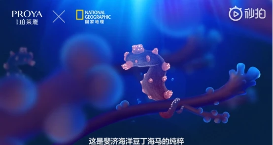 去溯源，「去发现」，海洋珀莱雅再升级， 珀莱雅 国货美妆品牌 美妆 第7张